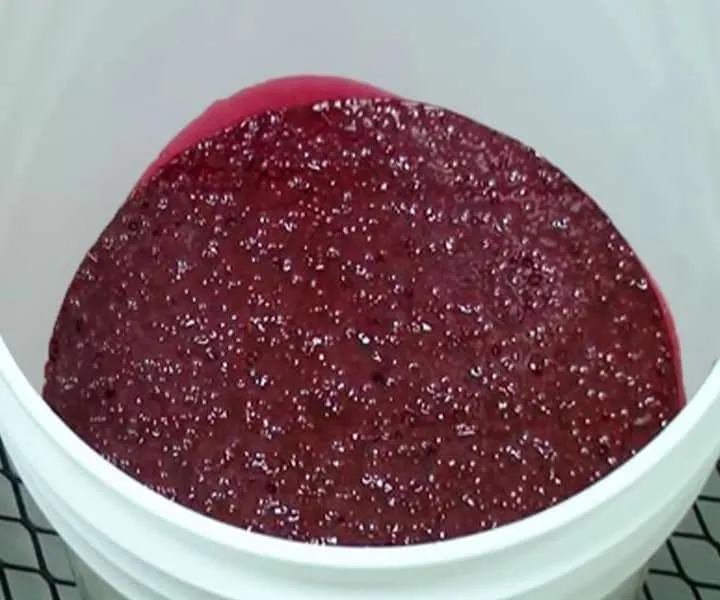 X-Vac™ Chamber Degassing 5 Gallon Unit of Hapflex™ 668